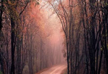 九游官网-包含罗马翻盘法国，苏亚雷斯绝境逆转的词条