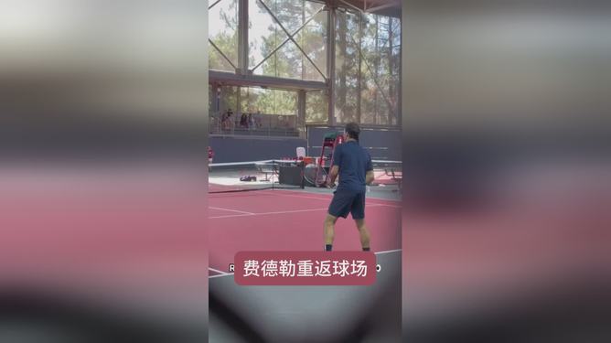 德国网球队血洗日本网球队，费德勒打破历史纪录的简单介绍