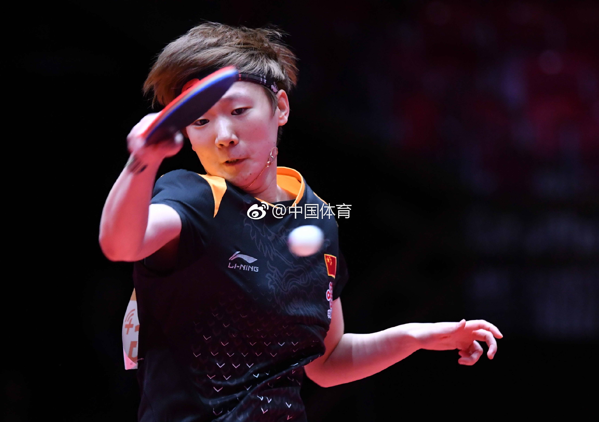 包含瑞典队险胜奥地利队,波尔高光表现的词条 包含瑞典队险胜奥地利队,波尔高光表现的词条